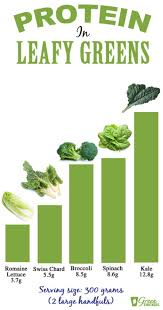 19 Best Plant Based Protein Sources Complete Whole Foods High Protein Vegetables Plant Based Protein Sources Green Thickies