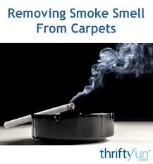 Pin On Cleaning Tips