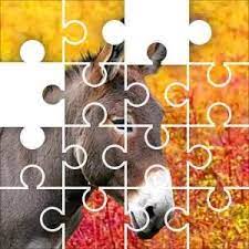 Welcome to our kind social community with jigsaw puzzles and puzzlers from all around the world you can pick a jigsaw puzzle below and get solving! Pin On Puzzles Small