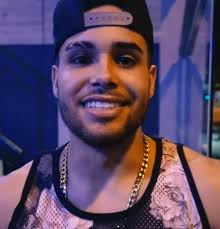 Letras de músicas de mc marcelly como 'vaca desmamada', 'roda gigante', 'bigode grosso', 'respeito é pra quem tem', 'eu sou falcão (part. Jerry Smith Wikipedia A Enciclopedia Livre