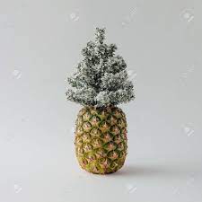 Maybe you would like to learn more about one of these? Pineapple And Winter Christmas Tree Holiday Concept Stock Photo Picture And Royalty Free Image Image 90296584