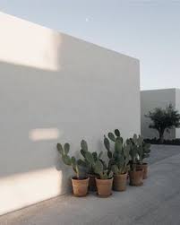 Fondée en 2015 à paris par coralie et clémentine, ay cactus est la première marque de cadeaux green, made in france et personnalisables. Profil De Ikram Bouabsa Ibouabsa Pinterest