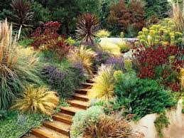 Mediterranean Garden Low Water Needed Wind Tolerant Color Pops It S A Win Win Landscape F Mediterranean Landscaping Drought Tolerant Garden Garden Design