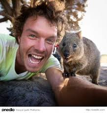 Avustralya Nin Yeni Trendi Dunyanin En Neseli Hayvani Quokka Ile Selfie Cok Sirin Hayvanlar Komik Hayvanlar Komik Hayvan Fotograflari