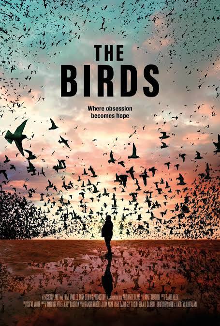 The Birds Excerpt