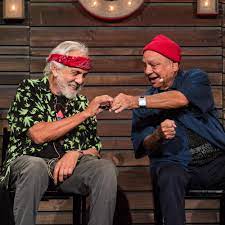 These guys have quite the following and daybills for their movies are. Cheech Chong