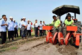 Lembaga kenaf dan tembakau negara. Datuk Dr Abd Shukor Abd Rahman Blog Rasmi Mardi