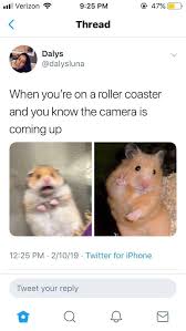 We Need More Hanster Memes Hamsters