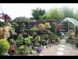 7/3 sukumvit54 muang rayoung, map ta phut, rayong, tailandia, 21150. Building A Bonsai Garden Youtube