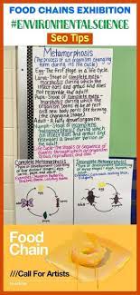 Food Chains Exhibition Environmentalscience Pinterestkeywords Science Food C Mikaela Dy Mcdonal In 2020 Art Therapy Activities Therapy Activities Environmental Science