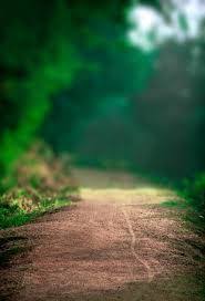 Image Result For Picsart Background Hd Images Download Zip Photo Background Images Hd Blurred Background Photography Blur Background Photography With the help of now time to download the latest version of picsart gold apk which is a modded version of. image result for picsart background hd