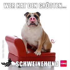 To overcome one's weaker self idiom. Swr3 Das Gewinnspiel Ist Beendet Gib Dem Inneren Facebook