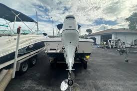 Image result for White 1998 Colter Aviation