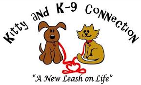 Find rescue dogs in dogs & puppies for rehoming | find dogs and puppies locally for sale or adoption in ontario : Alaska Dog And Puppy Rescue Home Facebook
