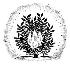 Burning Bush Saint Marys Press