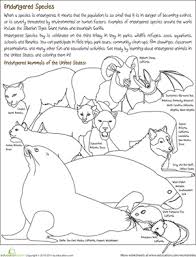 Endangered Species Worksheet Education Com Endangered Species Activities Endangered Animals Project Endangered Animals Activities