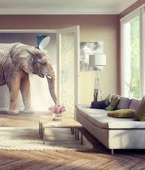 We are very sorry, due to the reorganization currently we only accept orders for sofas we have in stock, on our clearance. Uber Wohnmaxx
