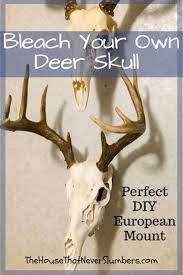 Bleach Your Own Deer Skull For A Perfect Diy European Mount The House That Never Slumbers Deer Skulls European Mount Deer Skull Decor