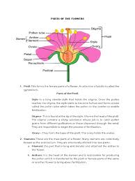 In this lesson, we study about the different parts of flowers of the mustard plant. Parts Of The Flowers Flowers Organisms