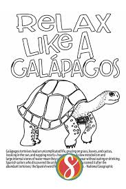 Almost 90 coloring pages are waiting to be painted with crayons, felt or watercolors. Animal Facts 1000 Free Printable Coloring Pages Stevie Doodles Free Printable Coloring Pages