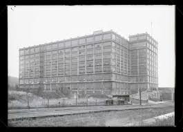 Image result for Pink 1964 Montgomery Ward