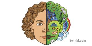 The ear anatomy is divided into three parts, the outer, middle, and inner ear. Inner Self Outer Self Portrait Example Usa Ks2 Illustration Twinkl