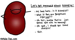 We did not find results for: Funny Quotes Kidneys Relatable Quotes Motivational Funny Funny Quotes Kidneys At Relatably Com