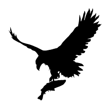 Eagle Fishing Nohat Download 470 eagle silhouette free vectors. nohat