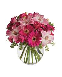 We did not find results for: Pink Me Up Flower Delivery Southport Same Day Florist Delivery Flowers Of Southport
