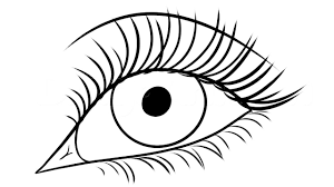 Video for how to draw eyes easy easy way to draw a realistic eye for beginners step by. How To Draw Eyes Step By Step Draw Eyes For Kids Draw Eyes Easily For Beginners Youtube