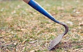 We did not find results for: How To Choose The Right Garden Hoe Garden Gate