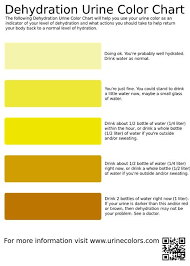 Dehydration Urine Color Chart Infographic Health Summer