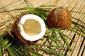 Coconut is delicious to eat raw, toasted, and as a part of other meals and baked goods. Can Cats Eat Coconut