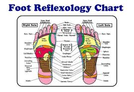 Free Downloads Reflexology Foot Chart Reflexology Blank