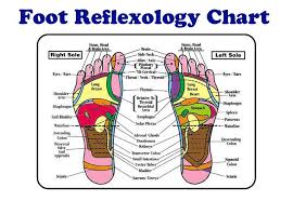 free downloads reflexology foot chart reflexology blank