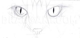 This is a rough shape of the head and a muzzle. How To Draw Cat Eyes Step By Step Drawing Guide By Duskeyes969 Dragoart Com