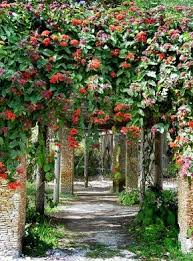 Pin By Seven Colonial On Coral Gables Fairchild Tropical Botanic Garden Fairchild Tropical Botanic Garden Botanical Gardens Beautiful Gardens