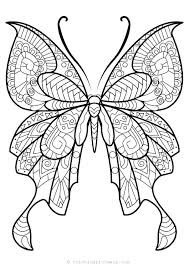 Fluturele este o insectă din ordinul lepidoptera. The Beginning Junior Drawer Desene Simple In Creion Fluturi Whisksandwit Com