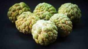 The list of fruits is made after good research. Date Fruits Date Palm Meaning In Hindi à¤¡ à¤Ÿ à¤ª à¤® à¤• à¤¹ à¤¦ à¤…à¤° à¤¥ Knowledge Love