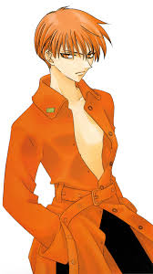 Fruits Basket Kyo