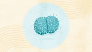 Image result for gonorrhea symptoms