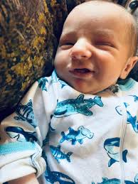 Hi all! I just wanted to introduce myself and share a photo I took. This is  my Great Grandson.🙂 He's cuter than I am but there's a picture of me in  comments.