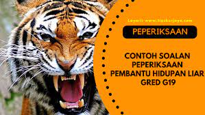 Pegawai kebudayaan b 29,31,37 a. Contoh Soalan Peperiksaan Pembantu Hidupan Liar Gred G19 Daya Menyelesaikan Masalah Kefahaman Bahasa Inggeris Tips Kerjaya