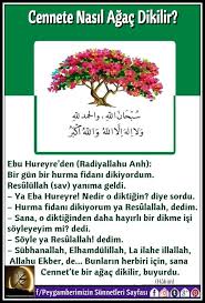 Halime Adli Kullanicinin Peygamberimizin Sunnetleri Panosundaki Pin Maneviyat Dualar Guzel Soz