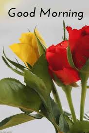 Best Good Morning Hd Images Wishes Pictures And Greetings Good Morning Images Good Morning Images Flowers Sweet Good Morning Images