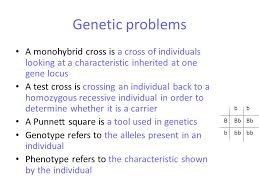 Be sure to answer any additional questions. Biology 2b Genetics Ppt Video Online Download