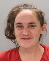 Recent arrest records available online