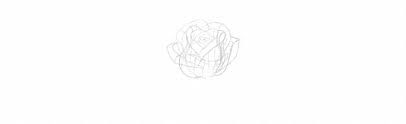 How To Draw A Rose Using a pencil sketch as a guide, i first ink a basic outline. how to draw a rose