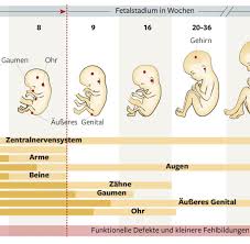 Medizin Nicht Alle Medikamente Sind Fur Schwangere Schlecht Welt