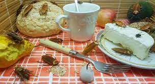 Comment se protéger des cafards ? Conseils Pratiques Pour Se Debarrasser Des Cafards Dans La Maison